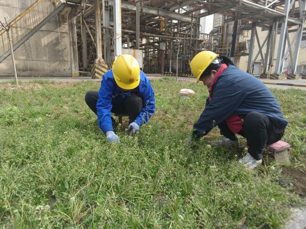 3月22日，行政保衛(wèi)部馬師傅和孫師傅在道路兩旁清除雜草。.jpg