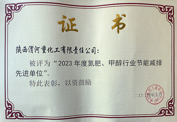 2024年7月重化工公司獲得氮肥協(xié)會頒發(fā)的節(jié)能減排先進(jìn)單位.jpg